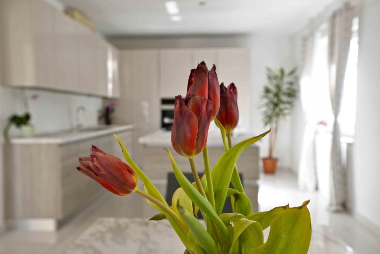 Vila Ena Murter Ngoại thất bức ảnh