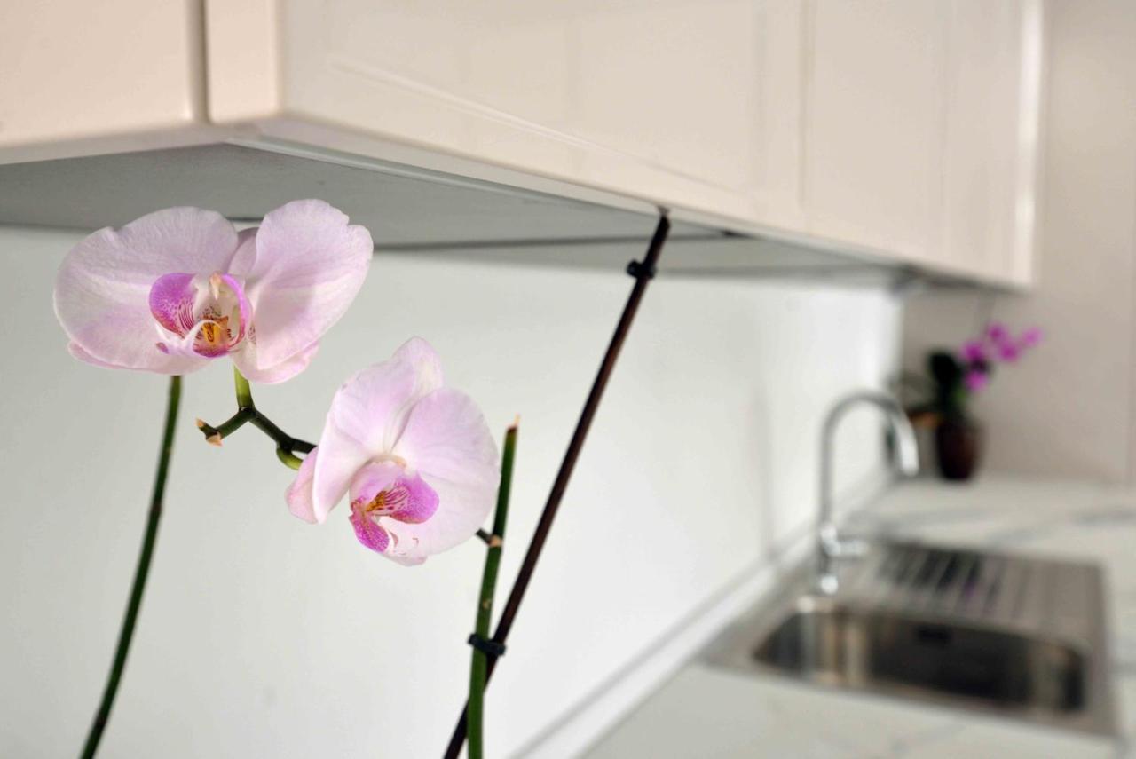 Vila Ena Murter Ngoại thất bức ảnh